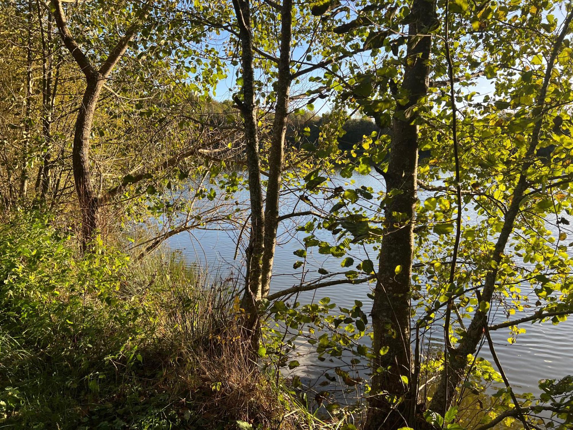Appartamento Aux Songes D'Elise Belmont  Esterno foto