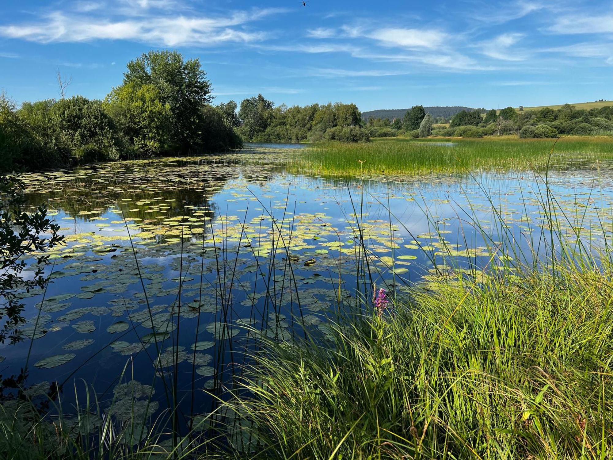 Appartamento Aux Songes D'Elise Belmont  Esterno foto