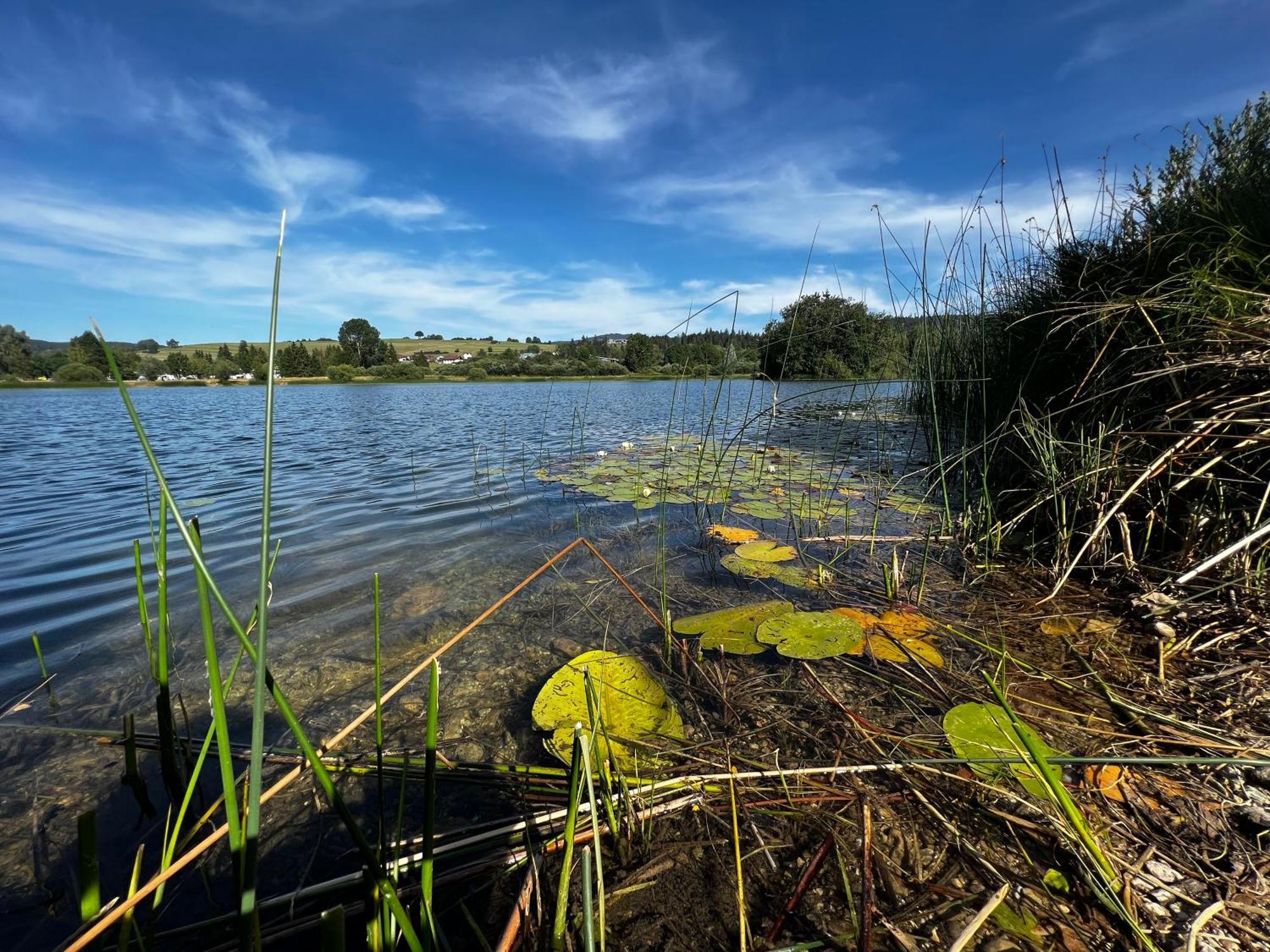 Appartamento Aux Songes D'Elise Belmont  Esterno foto