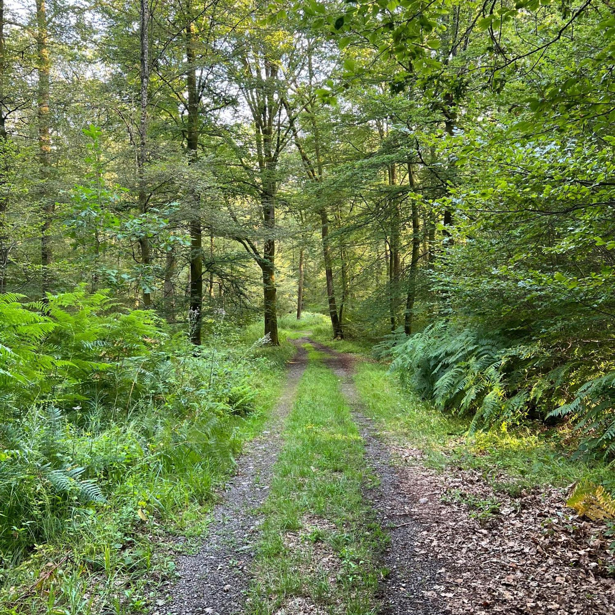 Appartamento Aux Songes D'Elise Belmont  Esterno foto