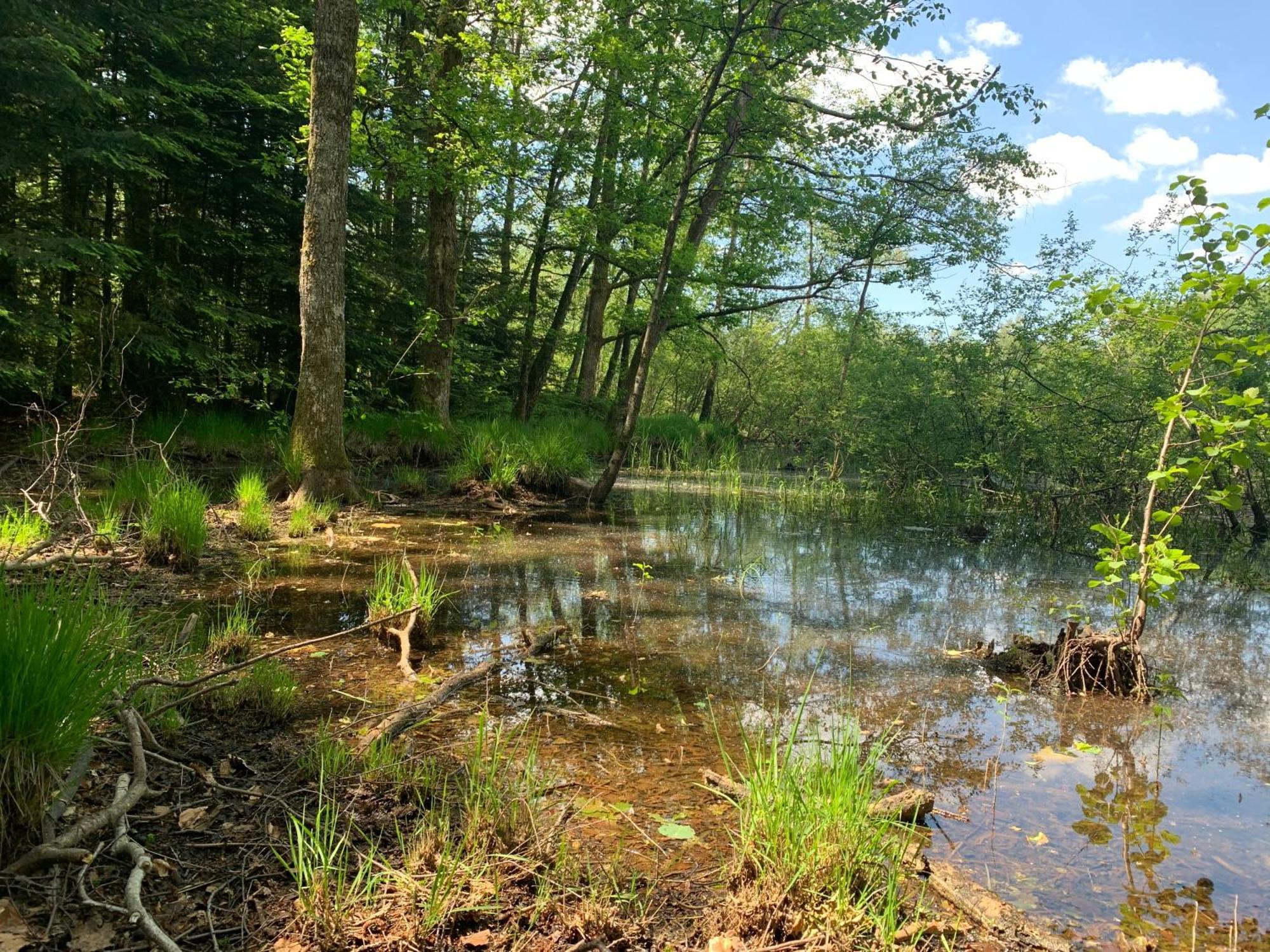 Appartamento Aux Songes D'Elise Belmont  Esterno foto