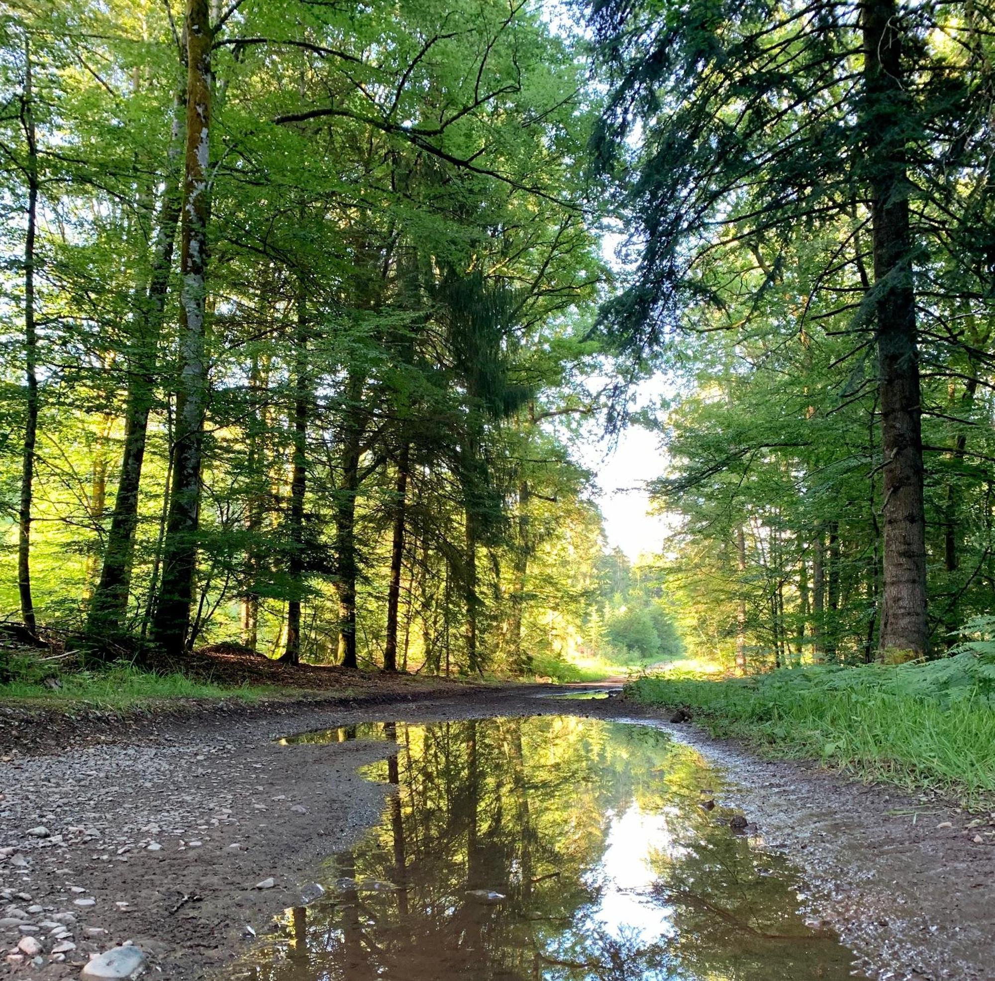 Appartamento Aux Songes D'Elise Belmont  Esterno foto